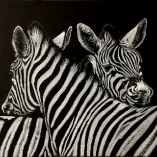 Mono White Pencil on Black Paper